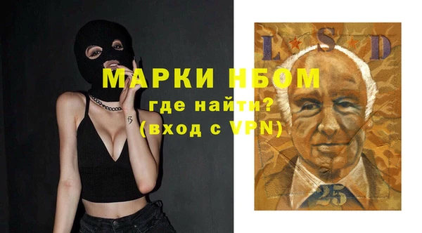 ешки Алексин