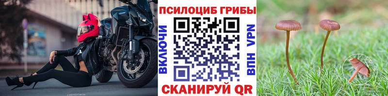 Галлюциногенные грибы мухоморы  купить наркотик  Вилючинск 